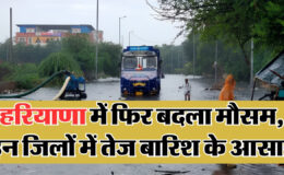 Haryana Today Rain Weather