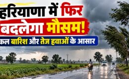 Haryana Weather 10 October 2026