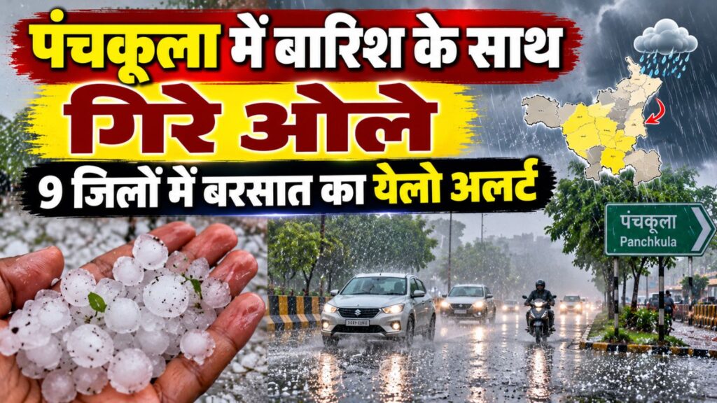 Haryana Weather Today 7 October 2026 (2)