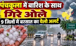 Haryana Weather Today 7 October 2026 (2)