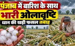 Punjab Weather Today 7 October 2026