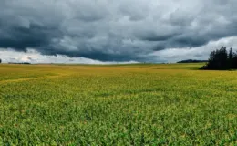 प्रतीकात्मक तस्वीर: आर्नब तूफान