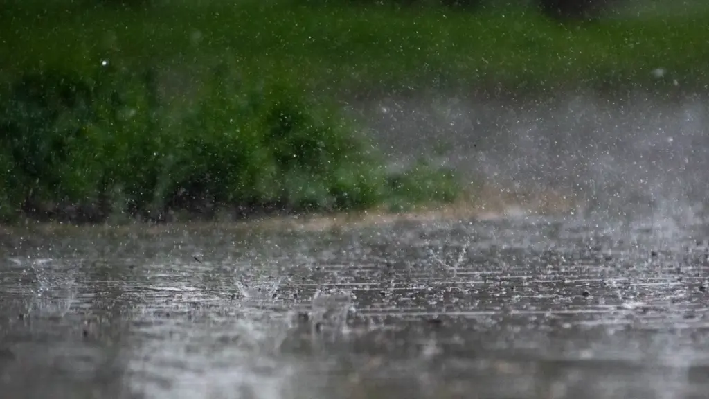 प्रतीकात्मक तस्वीर: भारी बारिश का अलर्ट