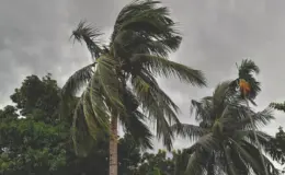 प्रतीकात्मक तस्वीर: बिहार में चक्रवाती तूफान