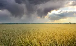 प्रतीकात्मक तस्वीर: चक्रवाती तूफान अर्नब