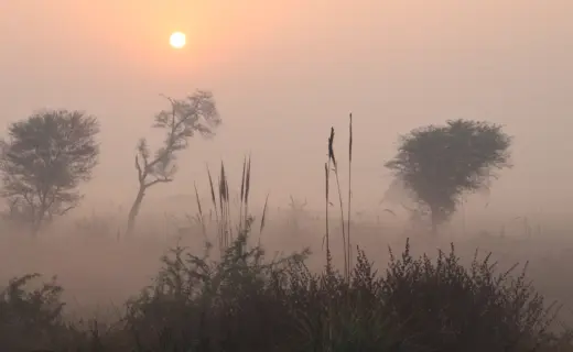 प्रतीकात्मक तस्वीर: Cyclone Arnab