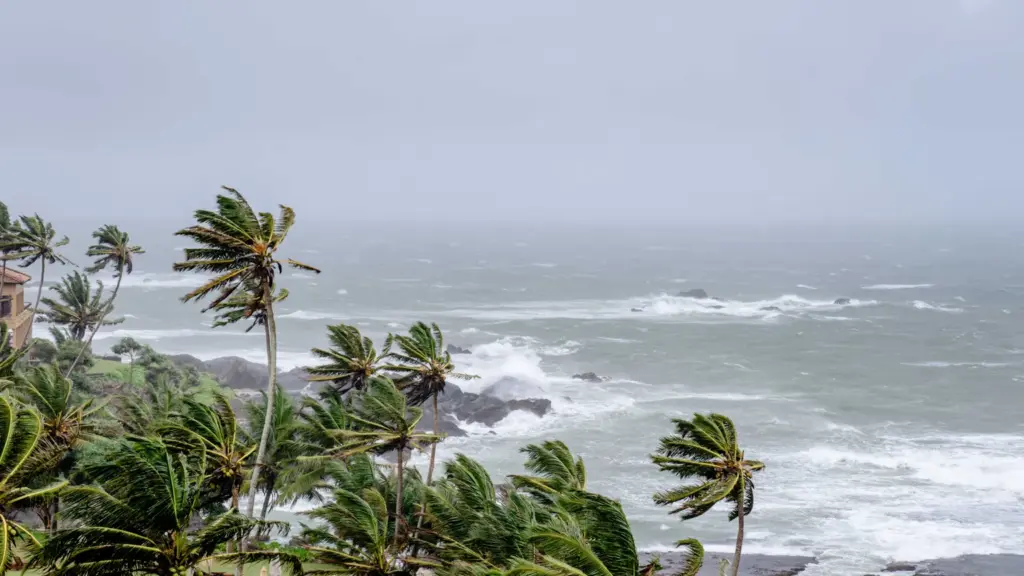 प्रतीकात्मक तस्वीर: चक्रवात अर्नब