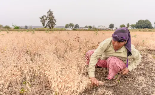 प्रतीकात्मक तस्वीर: अलनीनो का असर