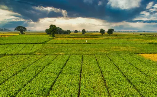 प्रतीकात्मक तस्वीर: गढ़वा मौसम