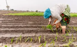 प्रतीकात्मक तस्वीर: चक्रवाती तूफान अर्नब