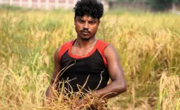 प्रतीकात्मक तस्वीर: गोपालगंज में बेमौसम बारिश