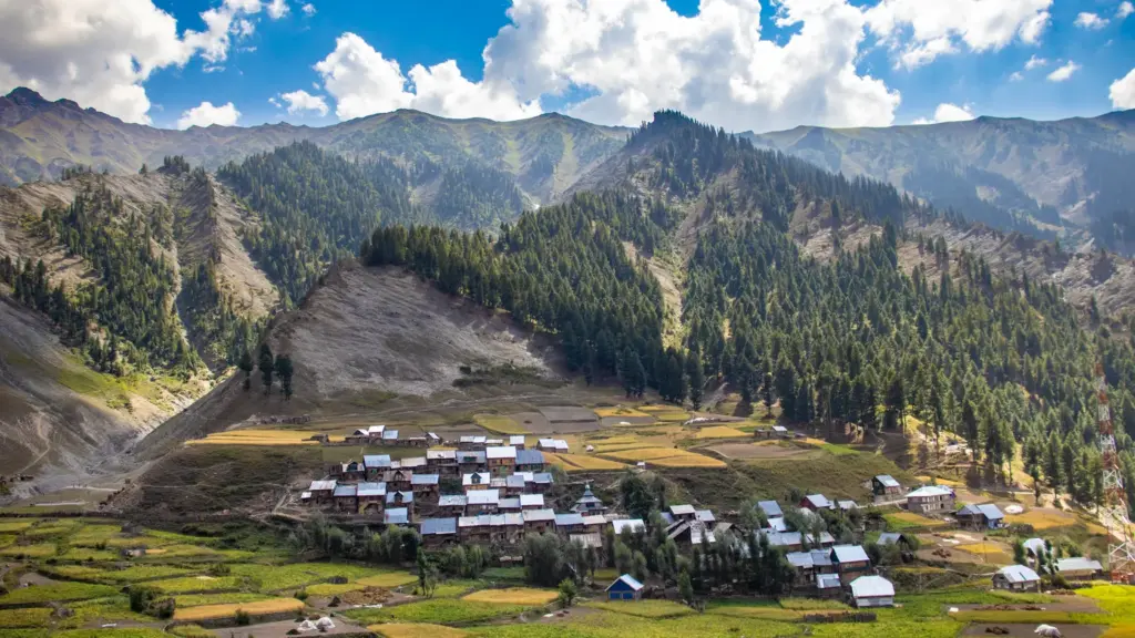 प्रतीकात्मक तस्वीर: गुरेज घाटी पारंपरिक खेती