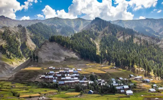 प्रतीकात्मक तस्वीर: गुरेज घाटी पारंपरिक खेती