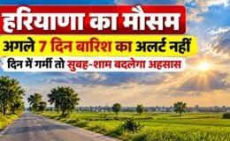 हरियाणा में अक्टूबर के मौसम के दौरान हल्के बादलों और धूप के बीच हरे खेत