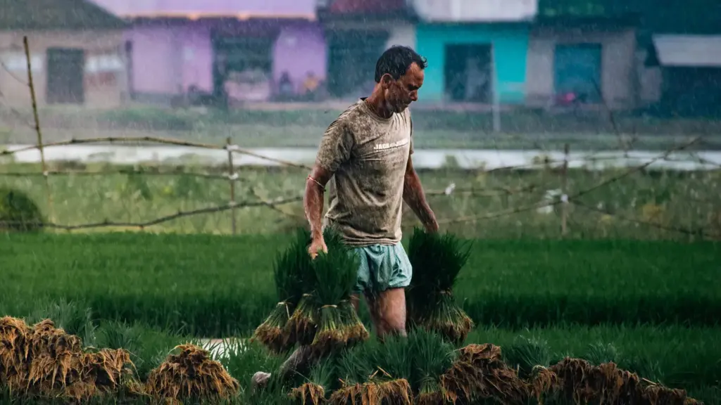 प्रतीकात्मक तस्वीर: हरियाणा मौसम अपडेट