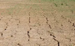 प्रतीकात्मक तस्वीर: मध्य प्रदेश सूखाग्रस्त