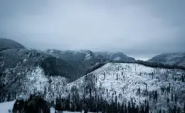 प्रतीकात्मक तस्वीर: उत्तरी वियतनाम में शीत लहर
