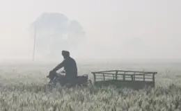 प्रतीकात्मक तस्वीर: पंजाब-चंडीगढ़ मौसम