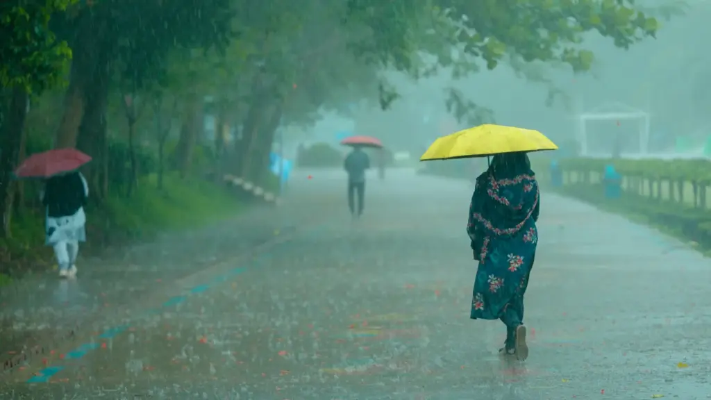 प्रतीकात्मक तस्वीर: Punjab Weather