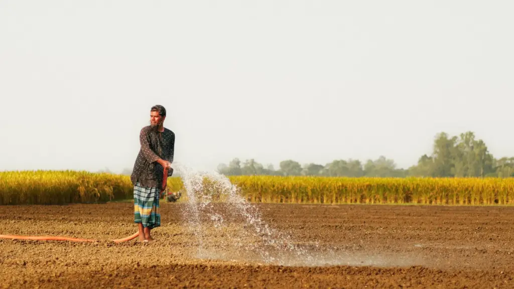 प्रतीकात्मक तस्वीर: रबी सीजन पर संकट