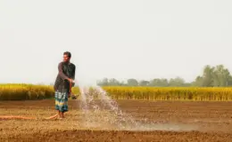 प्रतीकात्मक तस्वीर: रबी सीजन पर संकट