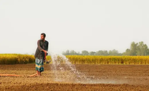 प्रतीकात्मक तस्वीर: रबी सीजन पर संकट