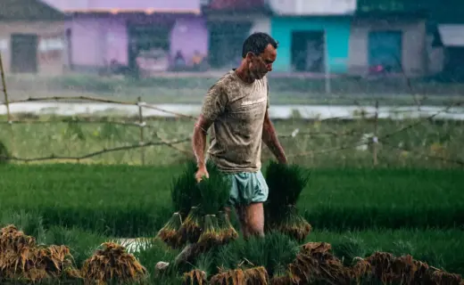 प्रतीकात्मक तस्वीर: सिद्धार्थनगर मौसम